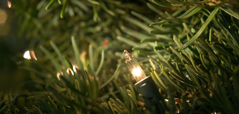 Božićne lampice za bor