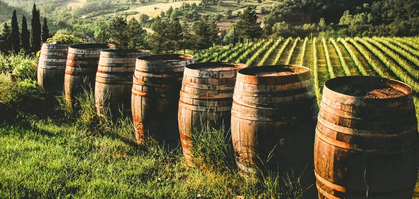 drvene bačve u vinogradu pokazuju iskonsku kulturu konobe