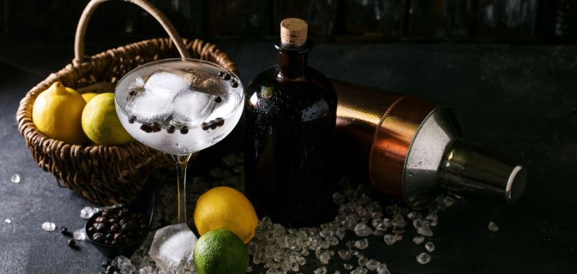 Gin tonic sa začinima u visokoj čaši 