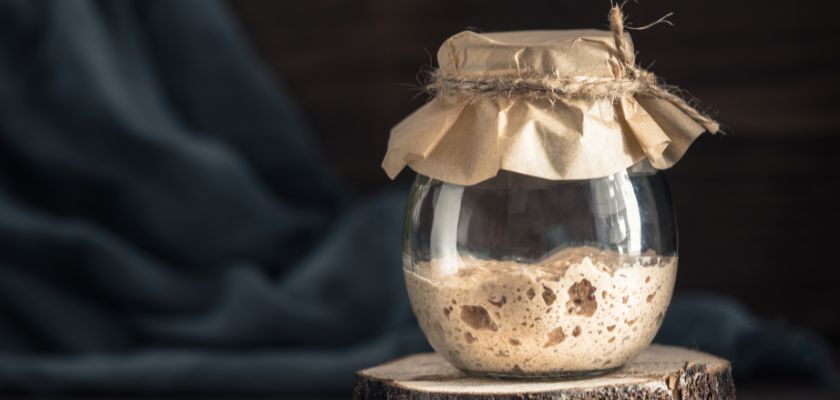 starter za Sourdough Kruh Recept u posudici