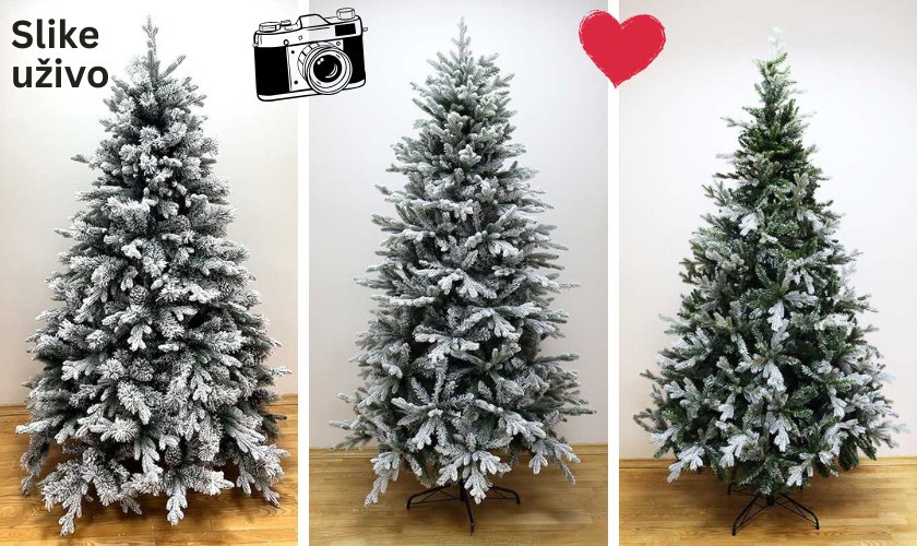 slike uživo bima umjetnih borova