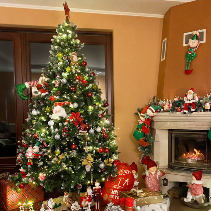 Božićno drvce Bima