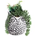 CVIJEĆE UMJETNO U TEGLI SOVA 13x20 CM - NATURAL LIVING