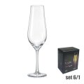 KRISTALNE ČAŠE ZA ŠAMPANJAC TULIPA  6/1 170 mL