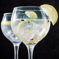 ČAŠA ZA GIN S GRAVUROM 820 ml 