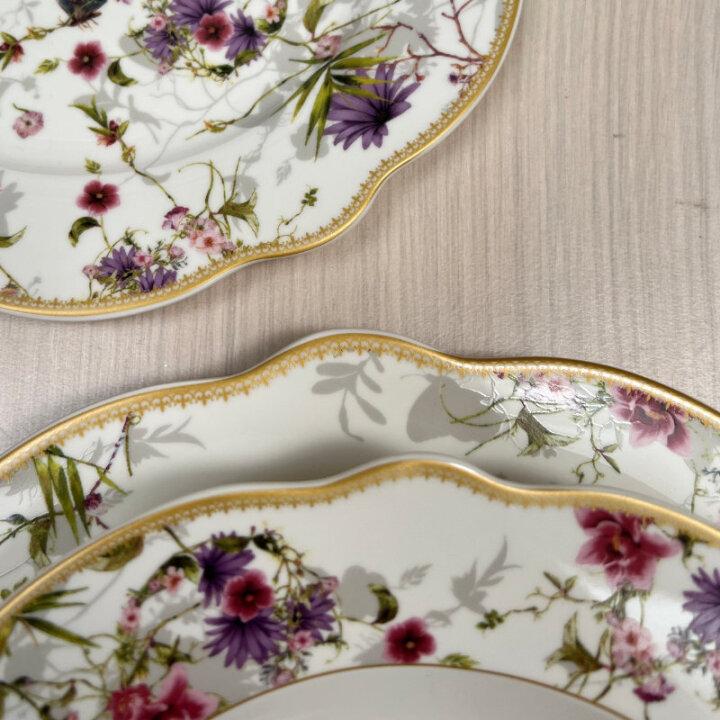 SERVIS ZA JELO 18 DIJELNI NEW BONE JARDIN DEKORIRANI - VALOVITI RUB