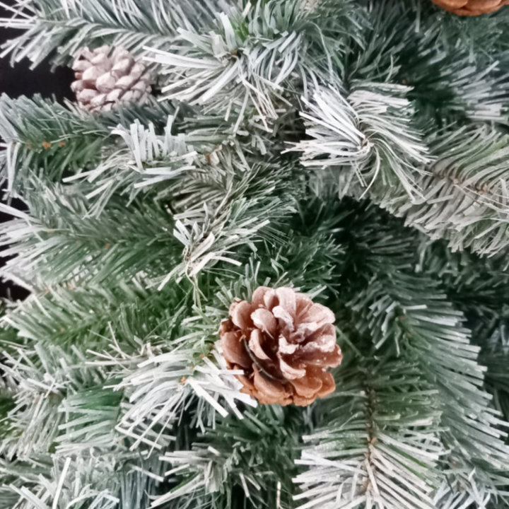 Gusta božićna drvca